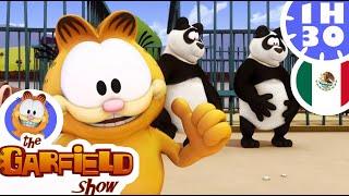 ¡Garfield, el Salvador de los Animales! Compilación de episodios graciosos - El Show de Garfield