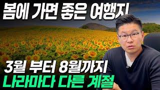 해외 봄 여행지 추천, 3월 부터 8월까지 가볼만한 곳