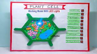 plant cell model working model - science project for exhibition - biology projects | craftpiller