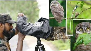 Wildlife Photography Vlog 49 | Behind Scenes Wildlife Photography | #vlog  #photography #birds |