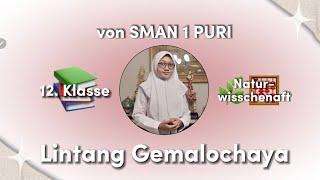 LINTANG N. G. M. FUER DEUTSCH PLUS BERUF GOETHE INSTITUT INDONESIEN