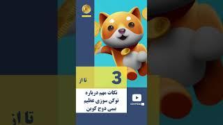 نتایج توکن‌سوزی عظیم بیبی دوج Baby dogecoin