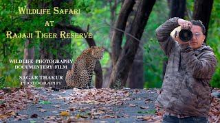 Wildlife Safari at Rajaji Tiger Reserve | leopards, elephants and many more wildlife creatures