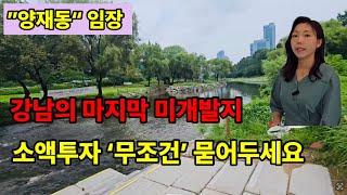 [양재동 임장] 강남의 마지막 미개발지, 현재 모아타운도 진행하고 있는 양재2동 소액투자 무조건 묻어두세요.