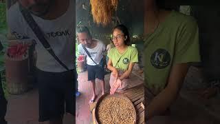  World’ Expensive Poop  Coffee In Bali ️ #foodie #food  #poop  #luwak #shortsviral  #shorts