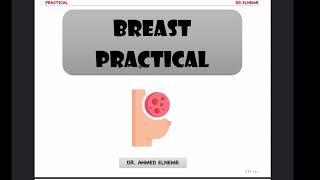 practical | Breast repro Elnemr