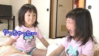 まーちゃんにイジワルしてしまって怒られるナナタン【ココロマン普段の様子】