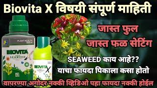 Biovita x विषयी संपूर्ण माहिती|जास्त फुटवे,फुल,फळ सेटिंग#biovita  #seaweed@AapliShetiAaplshivarD