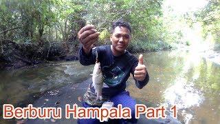 Casting Hampala Menjelajahi Air Terjun Kedang Ipil Part 1 - Fishing In Kukar Vlog #9