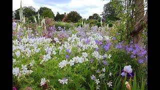 Colour Burst at Mottisfont | Summer 2024