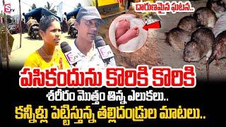 Palnadu Rats Incident | Parents Emotional Words | Telugu Latest News Updates | SumanTV