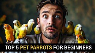 Top 5 Best Pet Parrots for Beginners: Which One Fits Your Lifestyle?