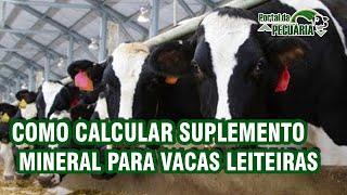 Como calcular suplemento mineral para vacas leiteiras. Sal mineral para vacas de leite.