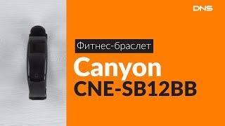 Распаковка фитнес-браслета Canyon CNE-SB12BB / Unboxing Canyon CNE-SB12BB