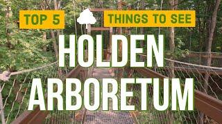 Holden Arboretum: The 5 best things to see here