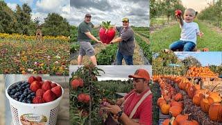 A YEAR in the Life of a Farmer (Strawberries, Apples, Pumpkins, Blueberries and more!)