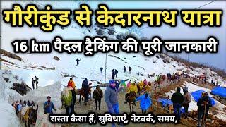 Gaurikund To Kedarnath Track Full Information || गौरीकुंड से केदारनाथ धाम यात्रा की पूरी जानकारी