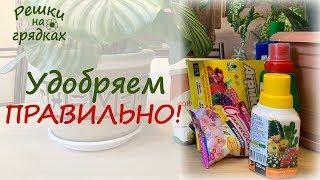 Удобрение комнатных цветов | Мой опыт и важные советы!