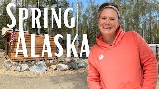 Homestead Life in Alaska! Spring Cleaning & Garden Progress!