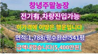 [땅조아 2-162] 창녕읍 5분거리,산속에 자리잡은(전기有,차량진입가능) 창녕주말농장 창녕땅매매 [창녕부동산 땅조아]