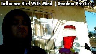 Influence Bird With Mind  ( Gendam Practice )