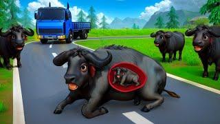 Pregnant Buffalo Road Crossing: Wildlife Animals Adventures | #Pregnant #animals