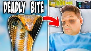 Man Almost Dies From Venomous Snake Bite! His Story!