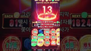 택시비가 없었던 도박꾼 ㄷㄷ