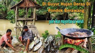 DI GUYUR HUJAN DERAS SAAT BURU IKAN DI PONDOK BERAWANG