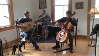 Beasts of Joy - Minor Swing (Django Reinhardt cover)