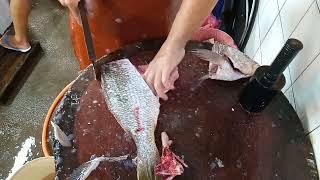 amazing skills fish cutting skills in  Penang Georgetown Malaysia