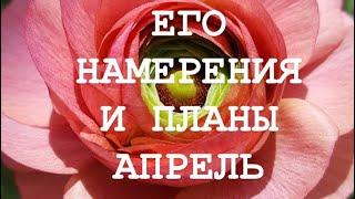 ЕГО НАМЕРЕНИЯ И ПЛАНЫ АПРЕЛЬ Гадание онлайн таро Расклад таро  Астарта Сантия Таро онлайн