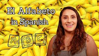 Spanish Alphabet, Learn how to pronounce the letters in Spanish with Teacher Catalina (Lesson 12)