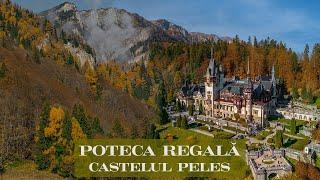 Spectacol de Toamnă | Traseu POTECA REGALĂ - Poiana Stânii - Castelul Peleș