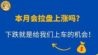 狗狗币 | doge币 | 埃隆马斯克  | 狗狗币行情2月12日最新走势分析！狗狗币下跌就是给我们上车的机会！本月会拉盘上涨吗？