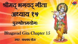 Bhagavad Gita Sanskrit Recitation | Chapter 15 - By Kashyap Vora | गीता १५ वाँँ अध्याय | vok music |