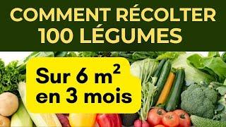 100 légumes ou plus sur 6 m²: salades, radis, choux, culture bio