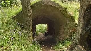 Harz -  Ein Besuch der Burgruine Anhalt (4K)