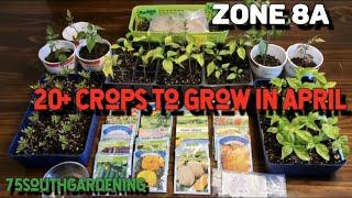 20+ Crops to Grow in April