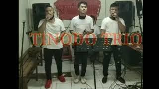 Tinodo Trio ll cover lagu batak ll "asal dais lokkot"