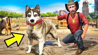 Esse é o NOVO CACHORRO DA FAZENDA  (GTA RP)