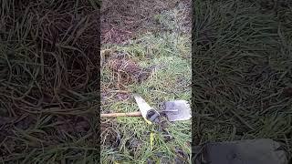 Расчистка старой дачной тропы. Начало