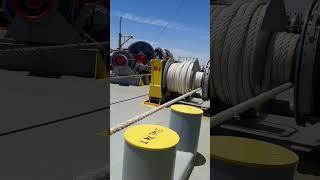 mooring operation #shorts #mooringropes #mooring #mooringoperation #shipmooring #seamanvlog