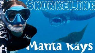 Swimming with MANTA RAYS !! (Snorkeling Nusa Penida)