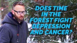 Can time in the forest (What Japanese Call Forest Bathing) Fight Cancer and Depression and Anger?