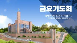 [십자가 없으면 가짜다] 241129 | 금요기도회 | 십자가, 복음의 진수(마16:13~28)