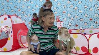 Grandpa is happy with his beloved family with Monkey baby so cute