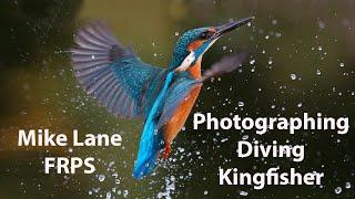 Photograph Kingfishers diving into the water
