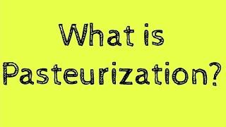 What is Pasteurization? | Things to Know |