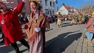 Narrentreffen 2025 in Bad Dürrheim